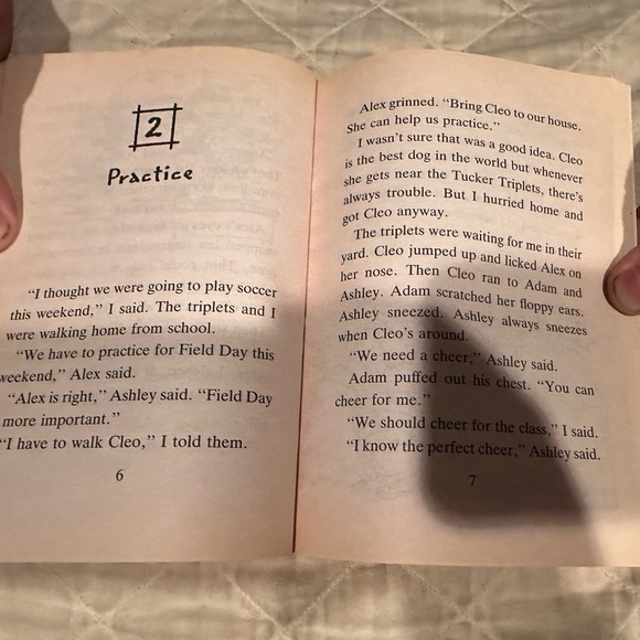 Triplet trouble and the field day disaster - Picture 5 of 7